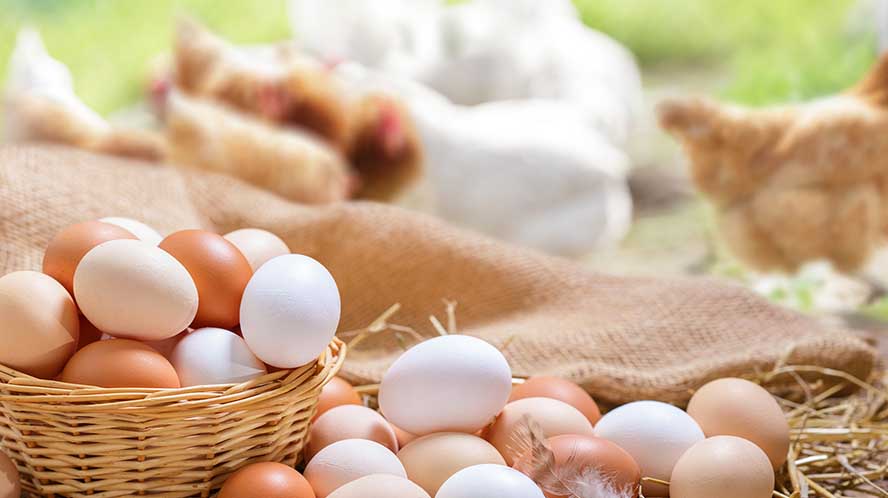 Bending the Arc of Justice