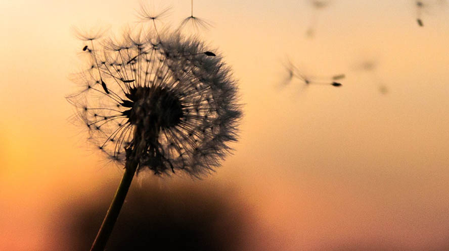 Answering the Urgent Need for Mental Health Action